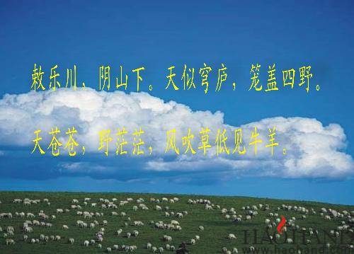2008142049254756900.jpg