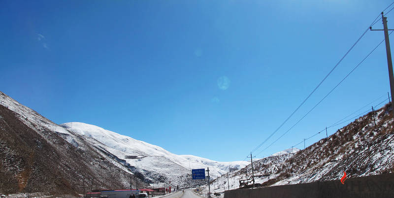 IMG_3955.jpg