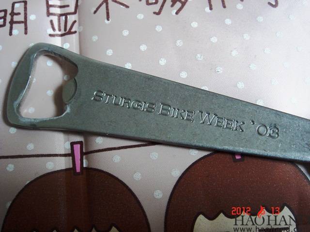 DSC03230.jpg
