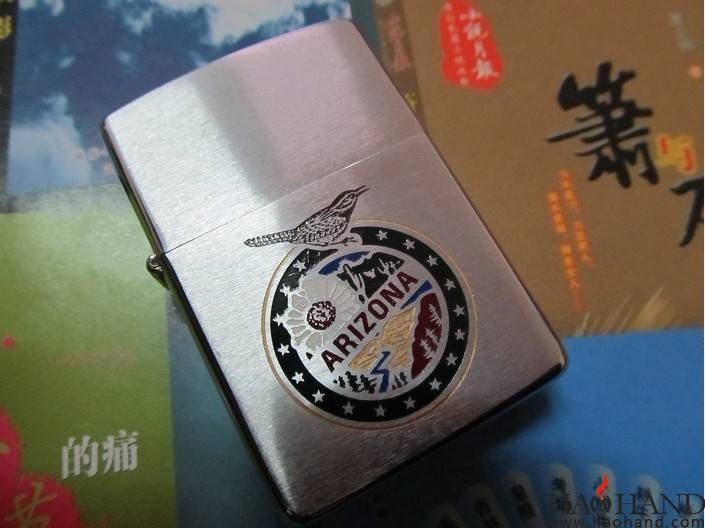 仙人掌鹪鹩.jpg