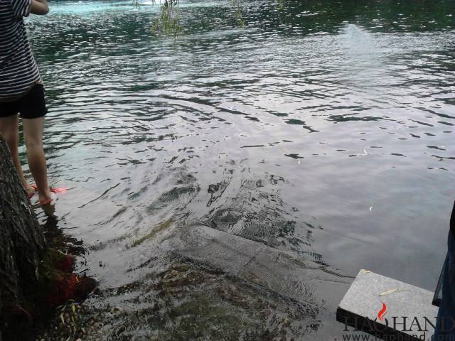 IMG_20120812_110416.jpg