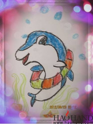 小海豚.jpg