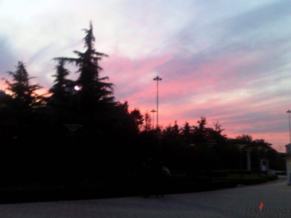 IMG00461-20120823-1849.jpg