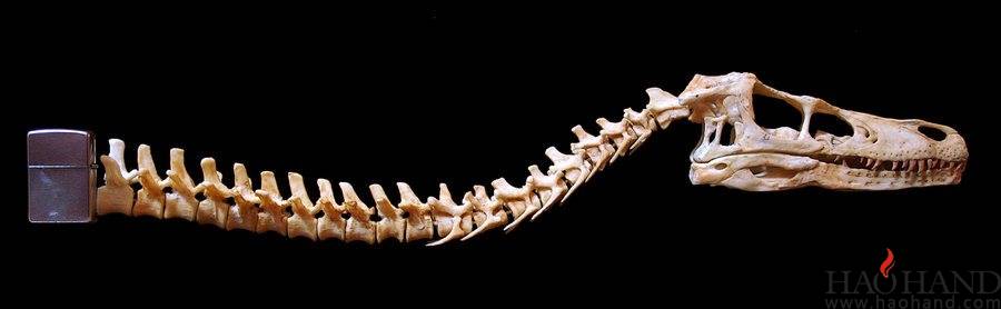 velociraptor_step_8_by_hannay1982-d5cciou.jpg