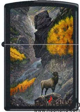 Blaylock-Elk on Slide Rock.jpg