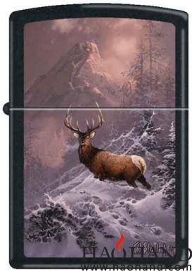 Blaylock-Lone Bull Elk.jpg