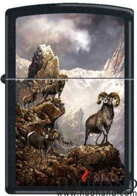 Blaylock-High Country Bachelors.jpg