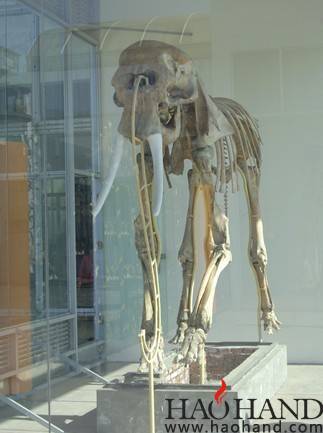 57.jpg