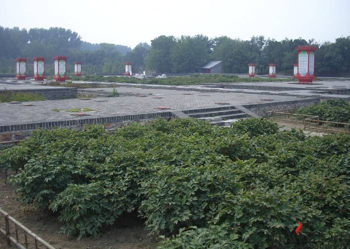 119.jpg