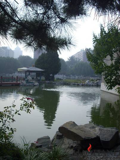 118.jpg