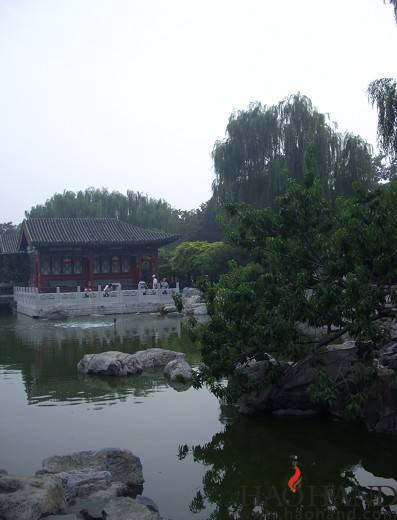 130.jpg