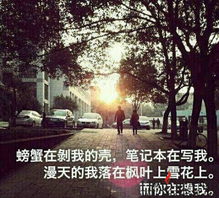 7fbd805a7ab6cdfc9a53f0ccee86e01d.jpg