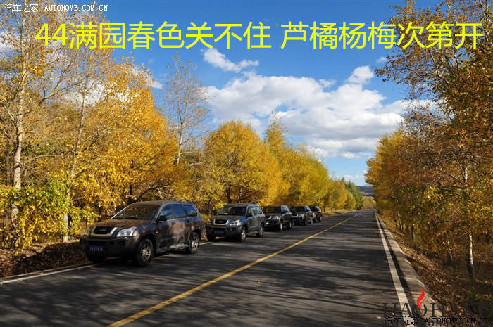 44五十_副本.jpg