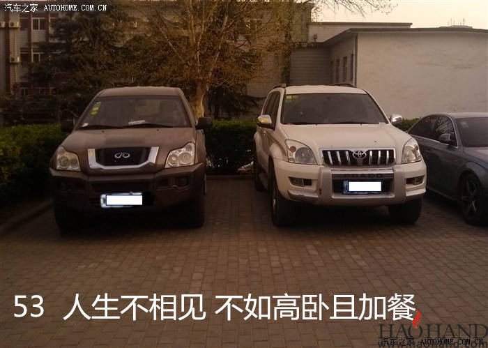 53五三_副本.jpg
