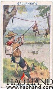 c2c682f0gw1efciqi57rpj205008cjro.jpg