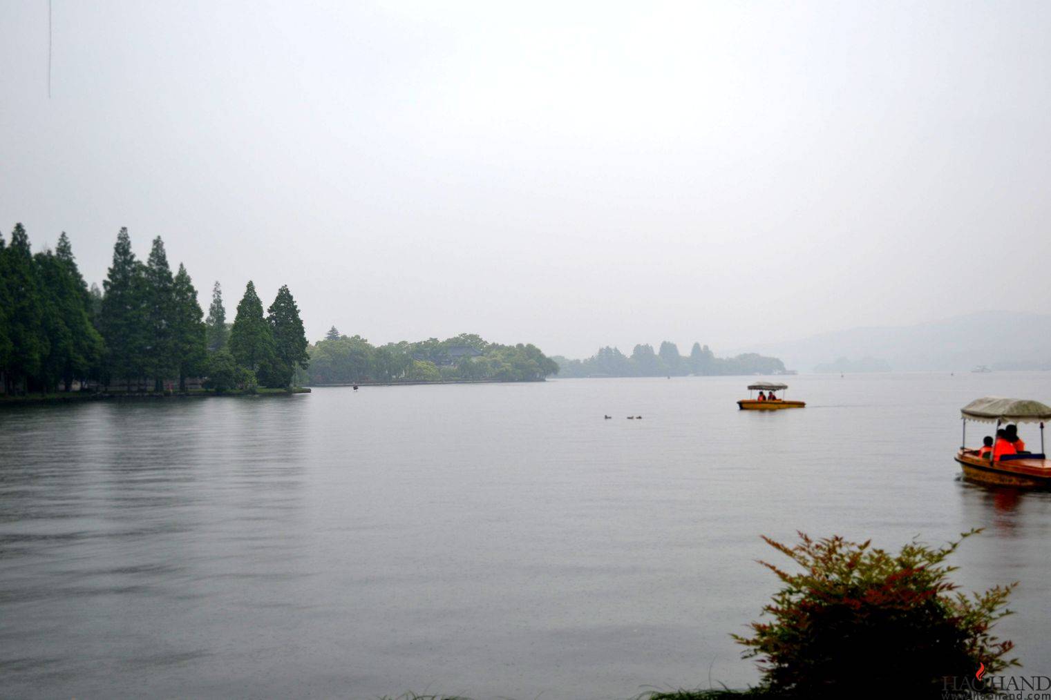 DSC_1351.JPG