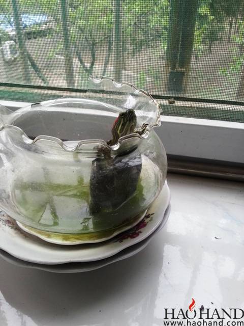 20140419_114120.jpg