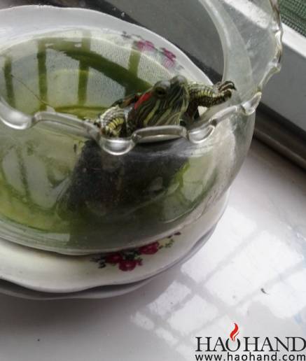 20140419_114125.jpg