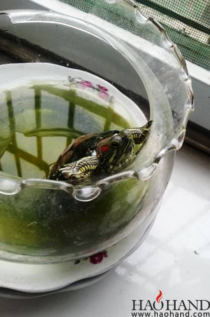 20140419_114128.jpg