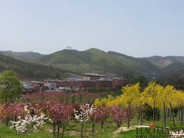 zhao8.jpg