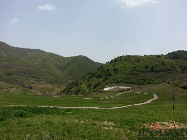 zhao10.jpg