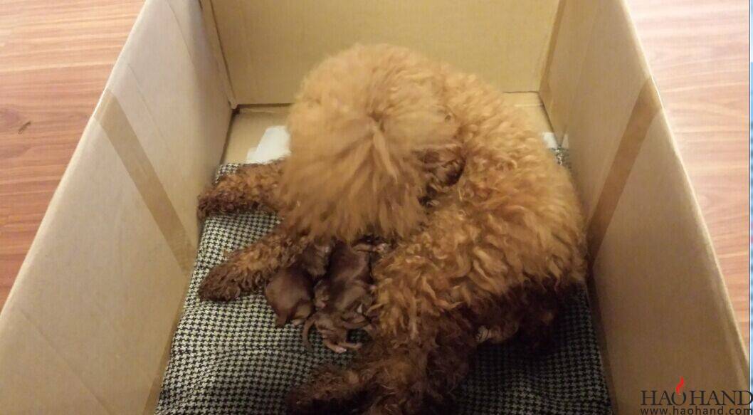 QQ图片20140521113801.jpg