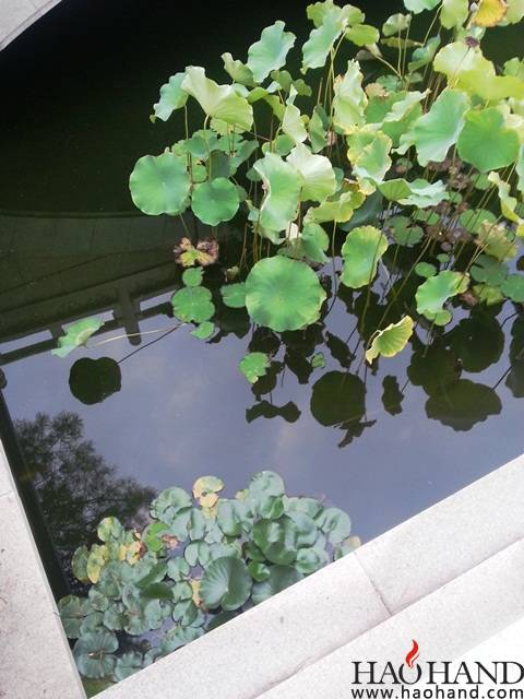 20140906_063609.jpg