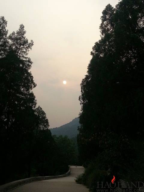 20140909_170531.jpg