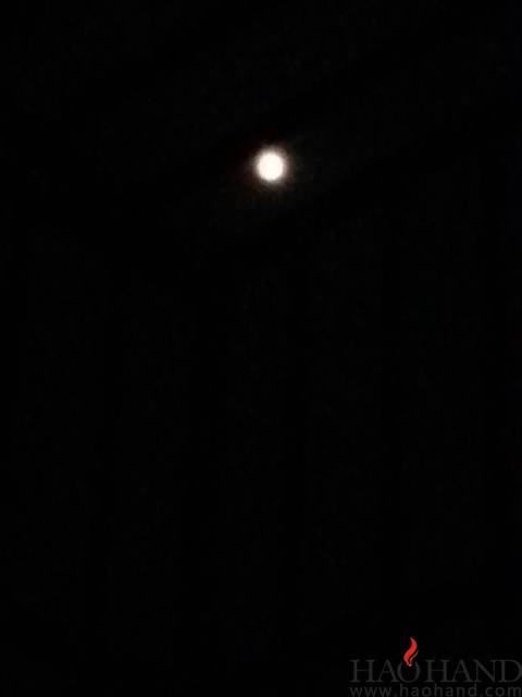 microMsg.1410182262246.jpg