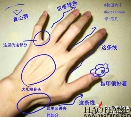手好看.jpg