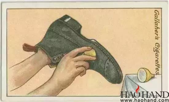 link9.jpg