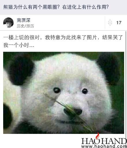 c4ff9961gw1ezxmenp4yuj20c80e9dgr.jpg
