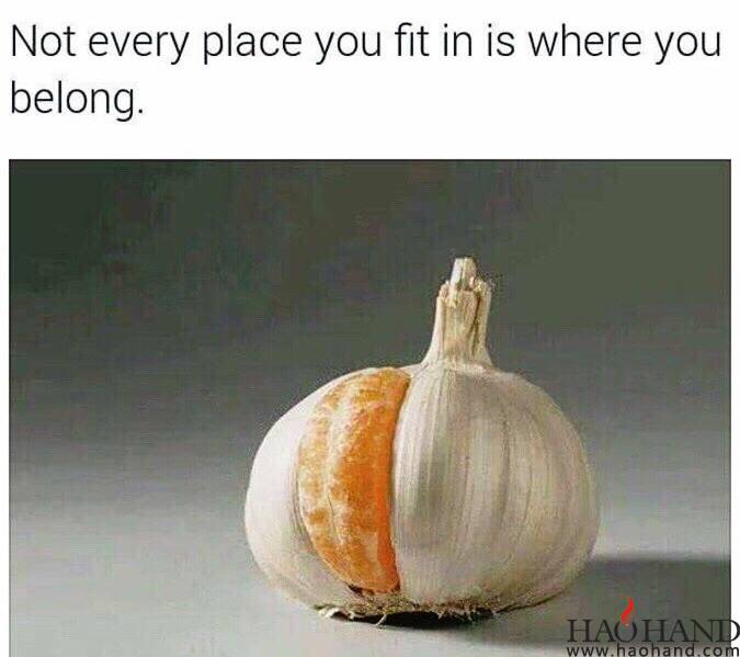 64909a7dgw1f0s2i7w9emj20ir0ihdhl.jpg