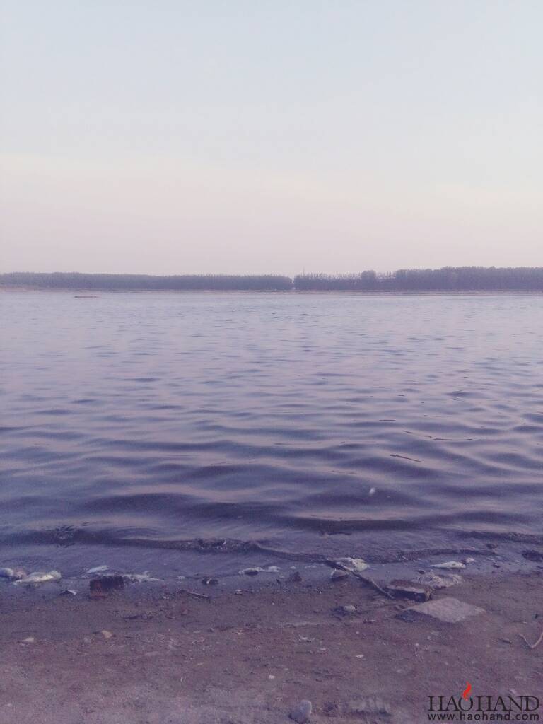 222935pr09jvjsts54g6za.jpg