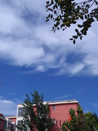 IMG_20160902_100129.jpg