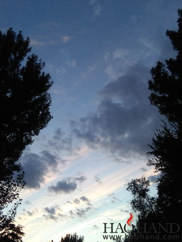 IMG_20160909_183302.jpg