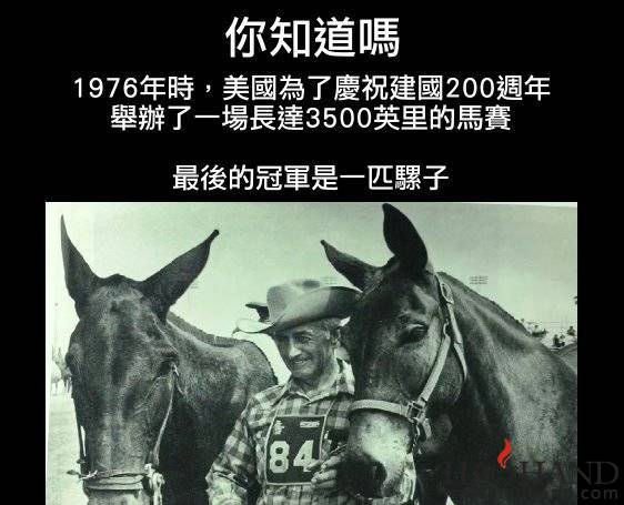 如果你不努力，你永远不知道自己有多强大.jpg