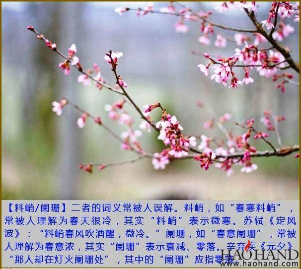20161001091130980gz.jpeg