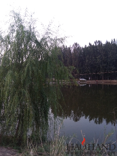 IMG_20161003_171455.jpg