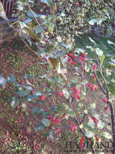 IMG_20161008_152008.jpg