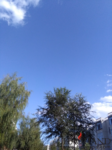 IMG_20161008_150448.jpg