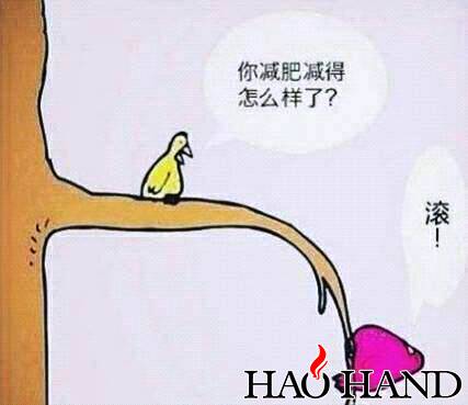 00671heajw1falctvngcdj30bv0a9wel.jpg