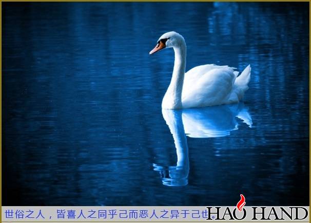 5d75d5ef098cff0b98d65a98467945d8.jpg