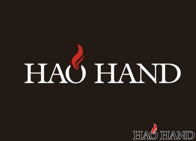 好手网LOGO-2.jpg