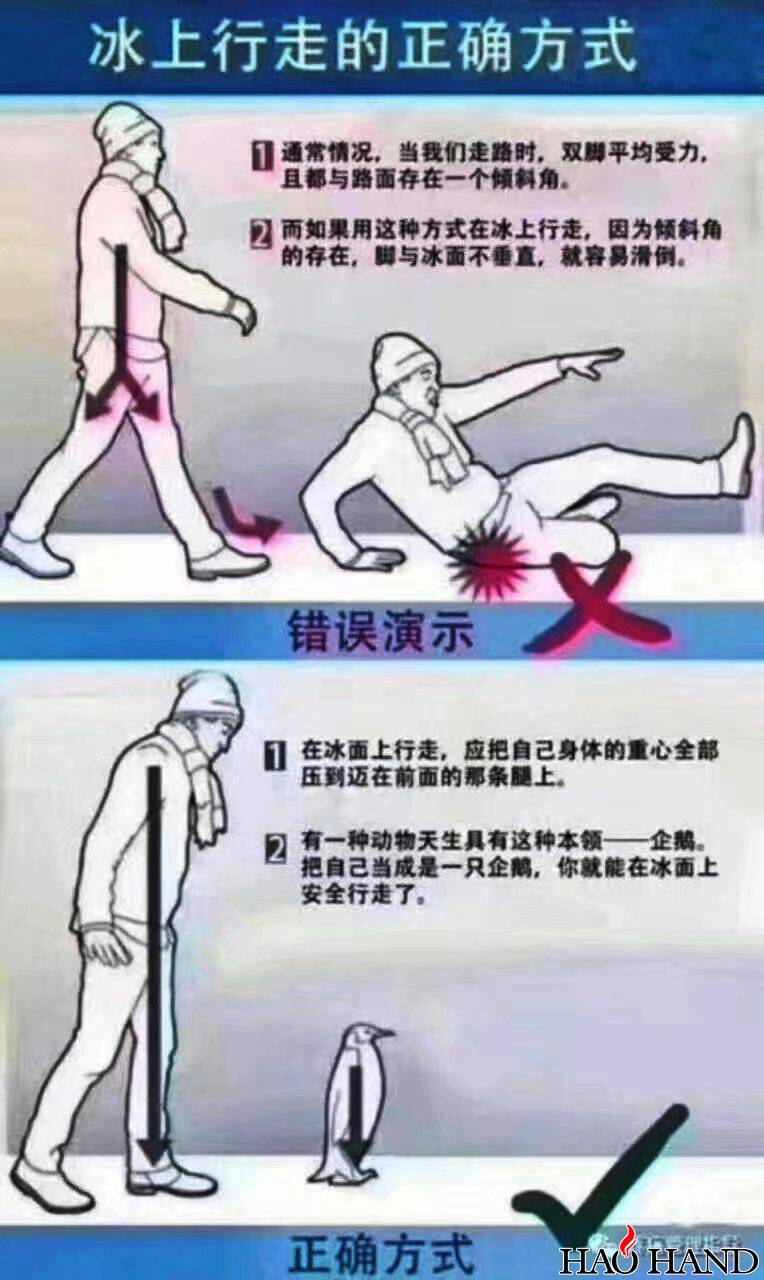 QQ图片20180129155851.jpg