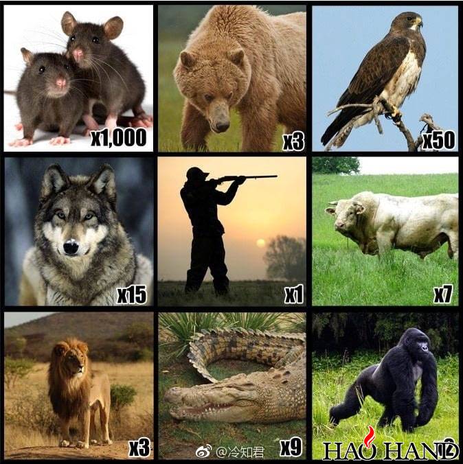 e7bf4c79gy1fo5hupm43dj20iq0isq72.jpg