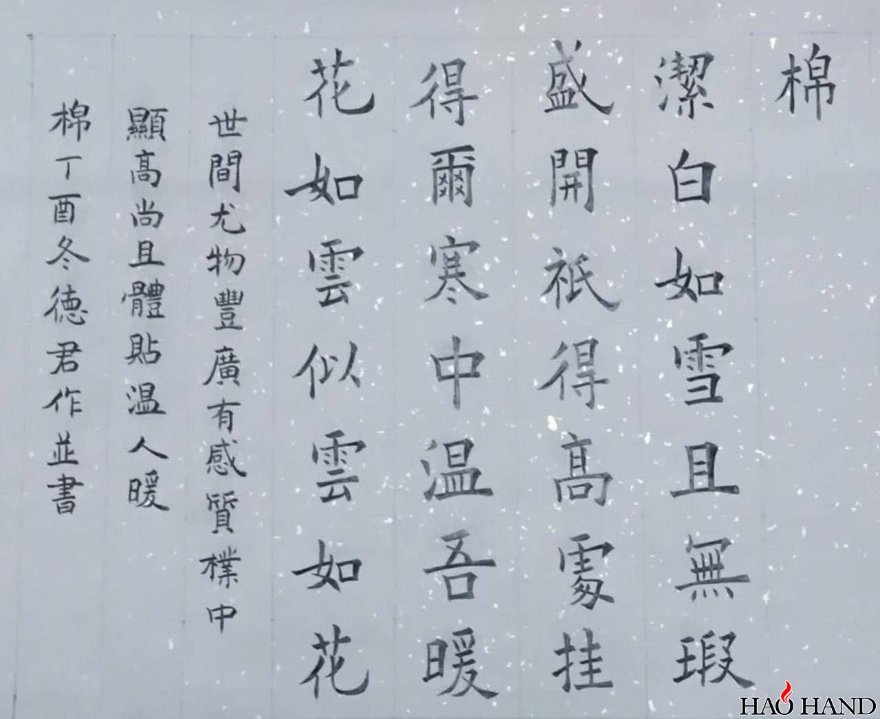 棉1 拷贝.jpg