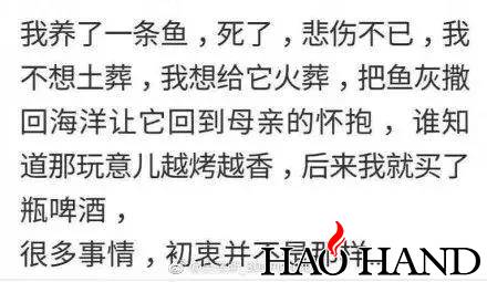 微信图片_20180507171202.jpg