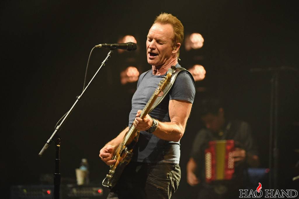 sting-1024x682.jpg