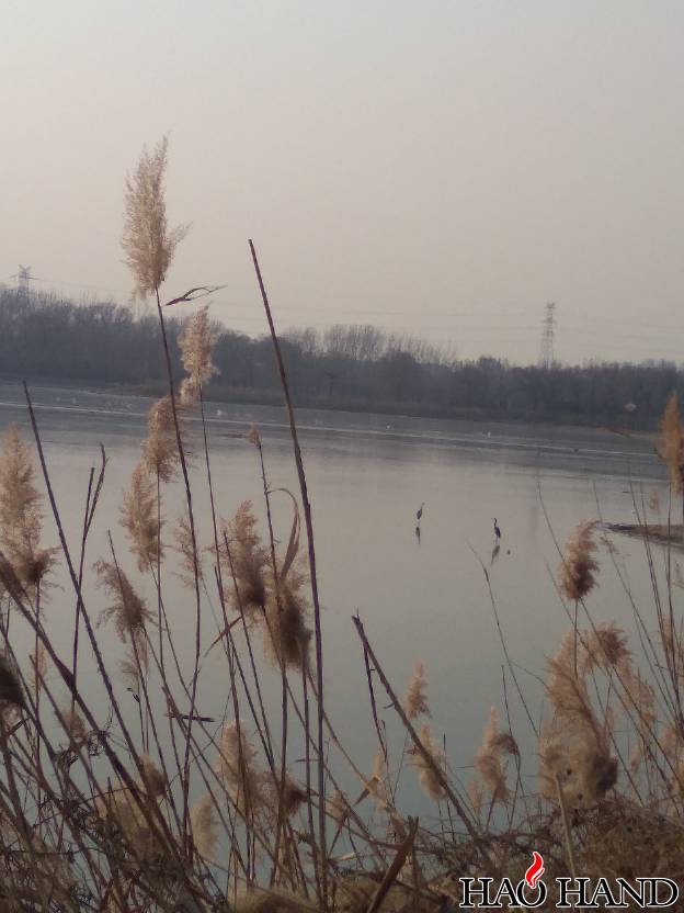 200758kkckcnp2kyapjpnn.jpg